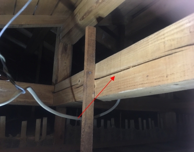 インスペクション調査の画像1