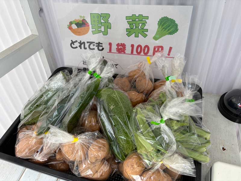 NEWS：野菜写真5