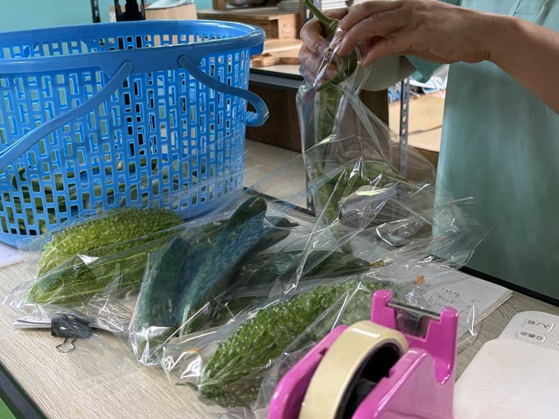 NEWS：野菜写真4