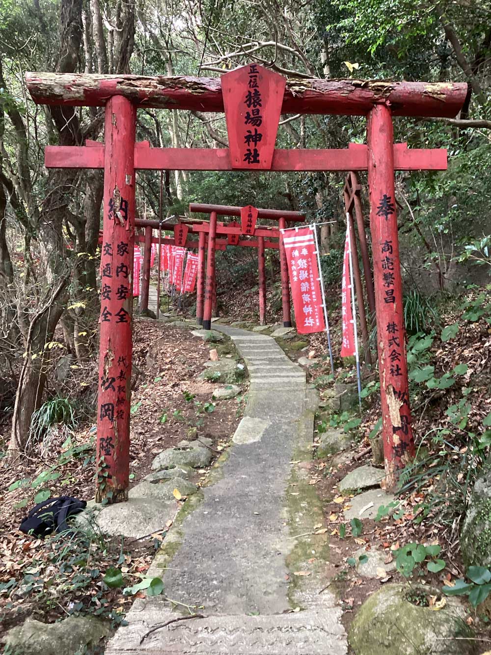 松岡建設塗装施工例：猿場神社鳥居施工前