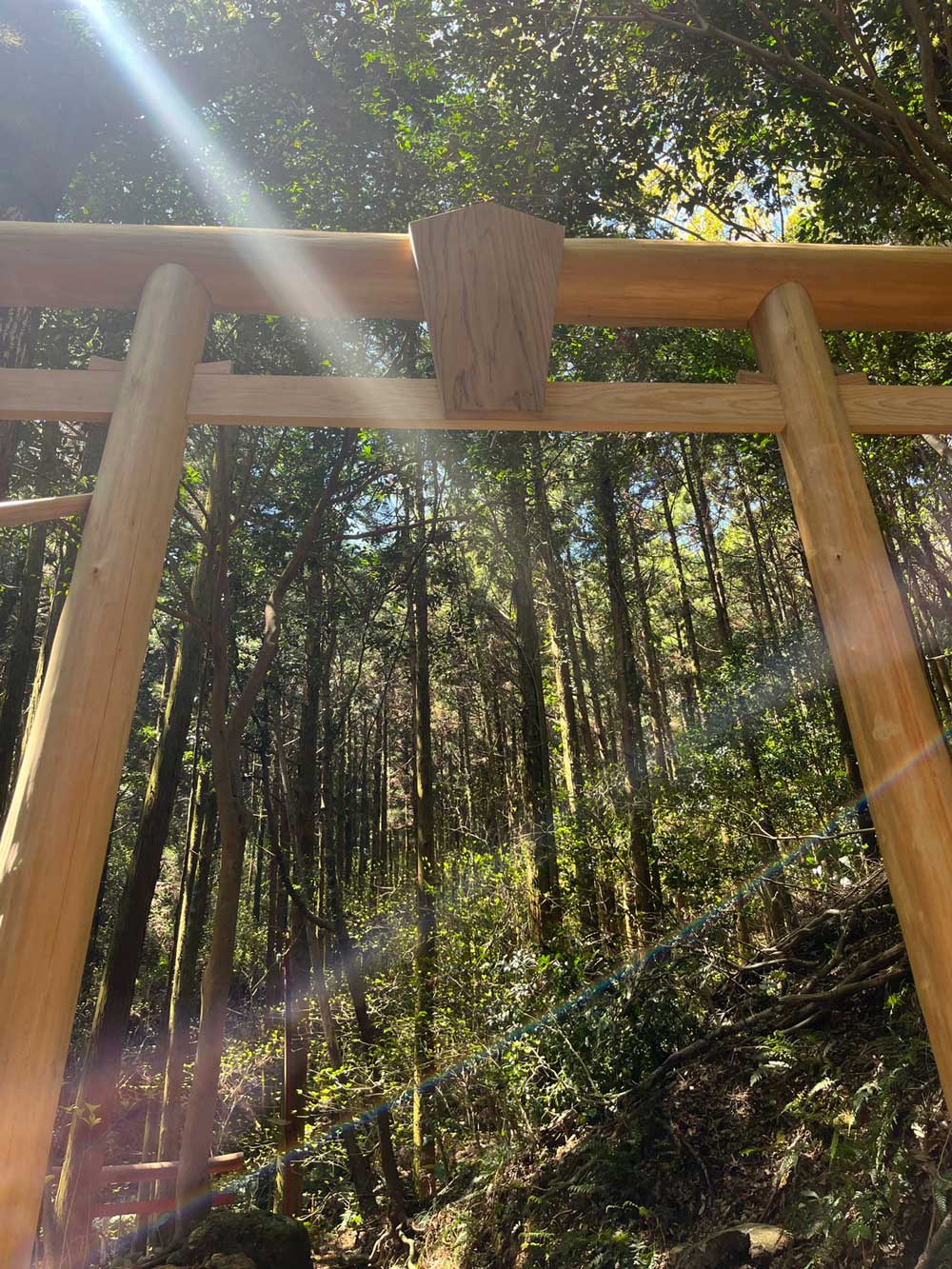 松岡建設塗装施工例：猿場神社鳥居施工中