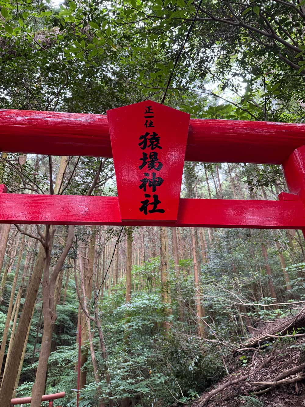 松岡建設塗装施工例：猿場神社鳥居施工後