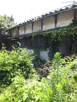 松岡建設家屋解体施工前：草木に覆われた老朽家屋