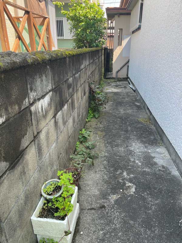 松岡建設伐採施工例施工前：通路脇に生えた植物