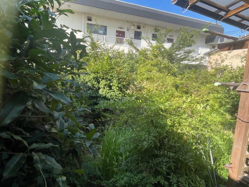 庭木伐採・剪定施工例