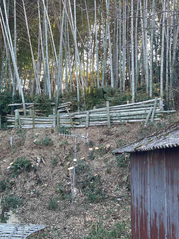 松岡建設伐採施工後：竹林を伐採・整地