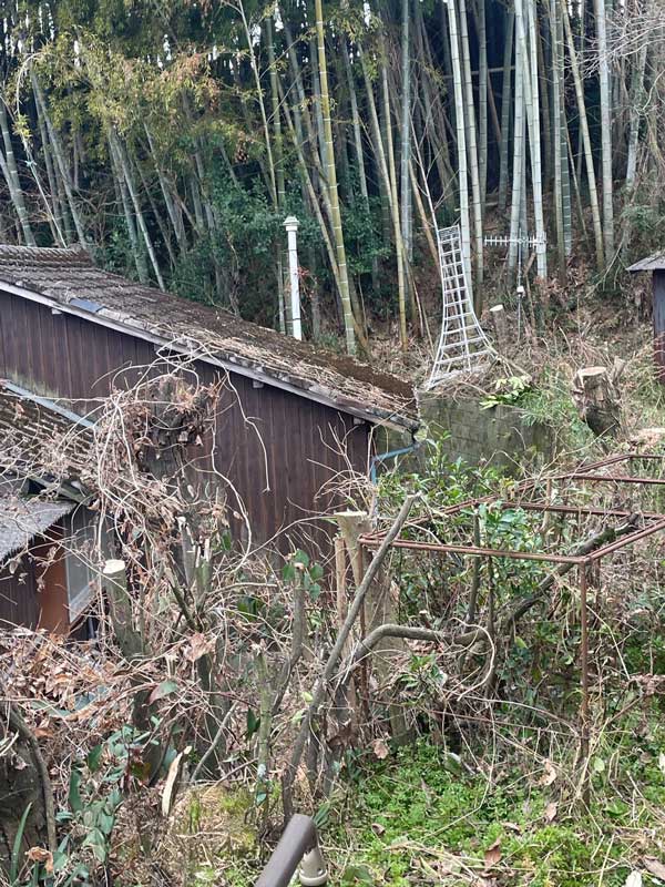 松岡建設伐採施工後：雑木・低木を伐採してすっきり