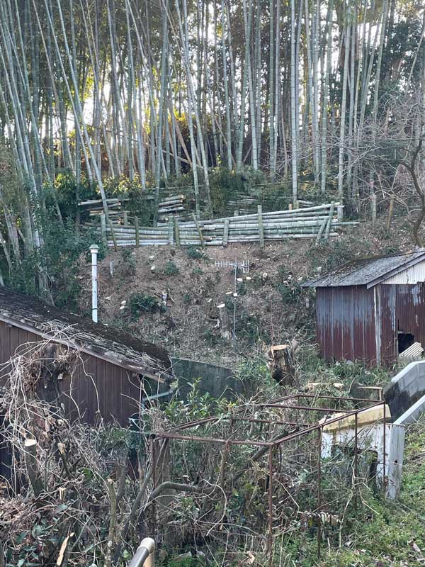 松岡建設伐採施工後：竹林周辺を整地