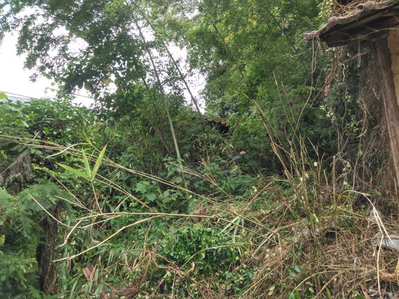 松岡建設家屋解体施工例