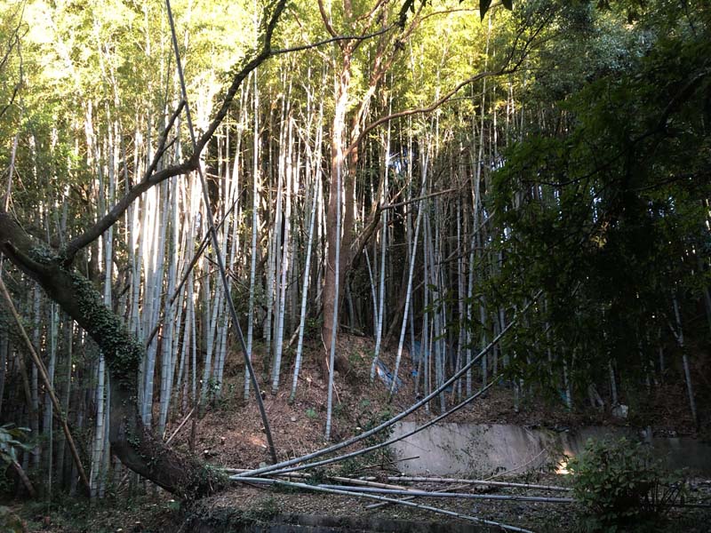 松岡建設家屋解体施工例施工前