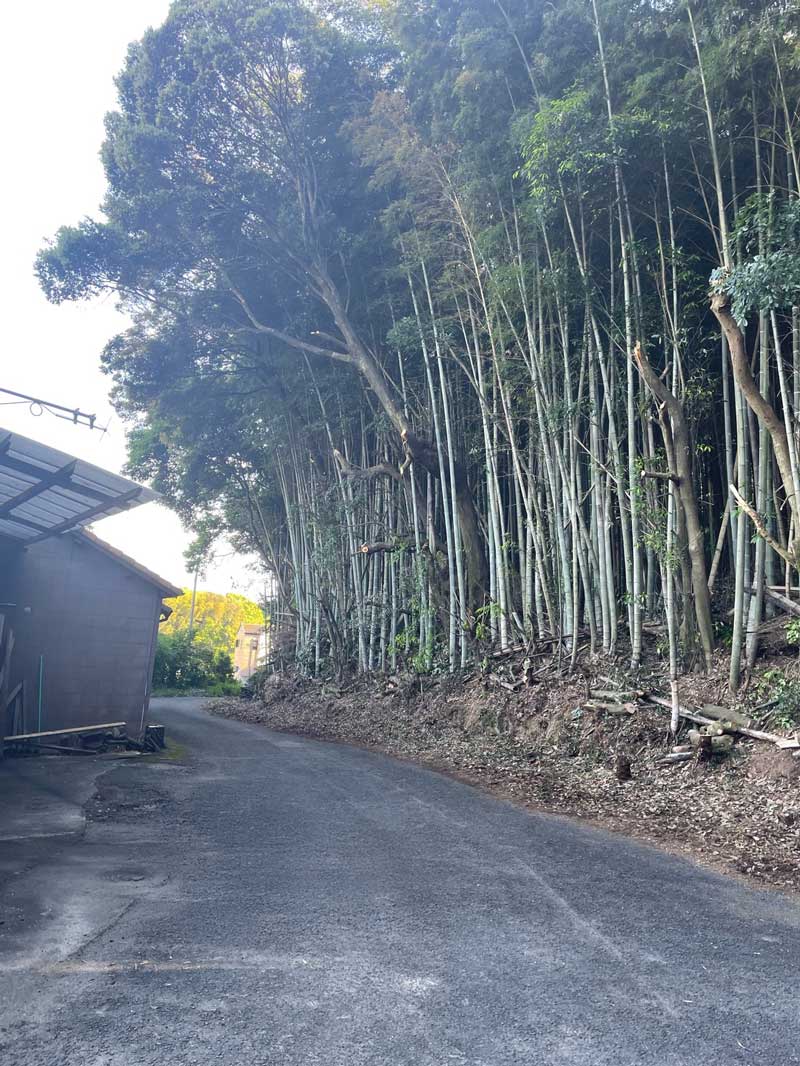 松岡建設　木の伐採施工後：道路側を伐採した樹木
