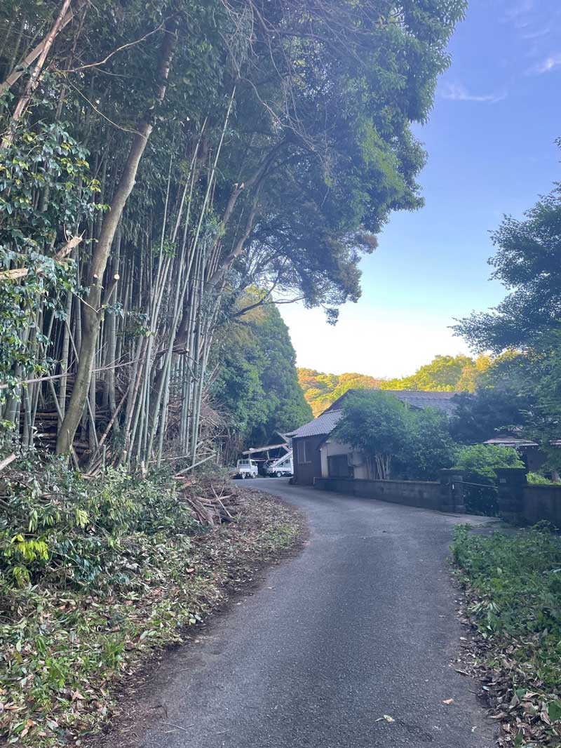 松岡建設　木の伐採施工後：通行しやすくなった道路