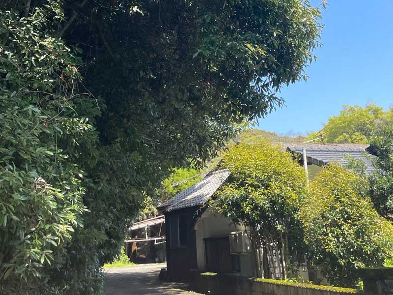 松岡建設　木の伐採施工例