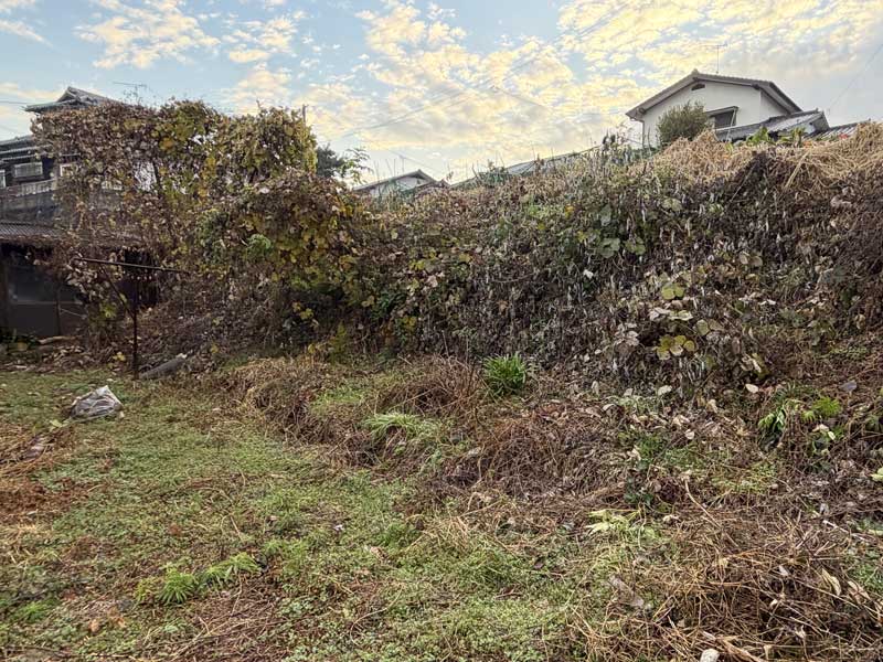 庭木伐採・雑草除去施工例